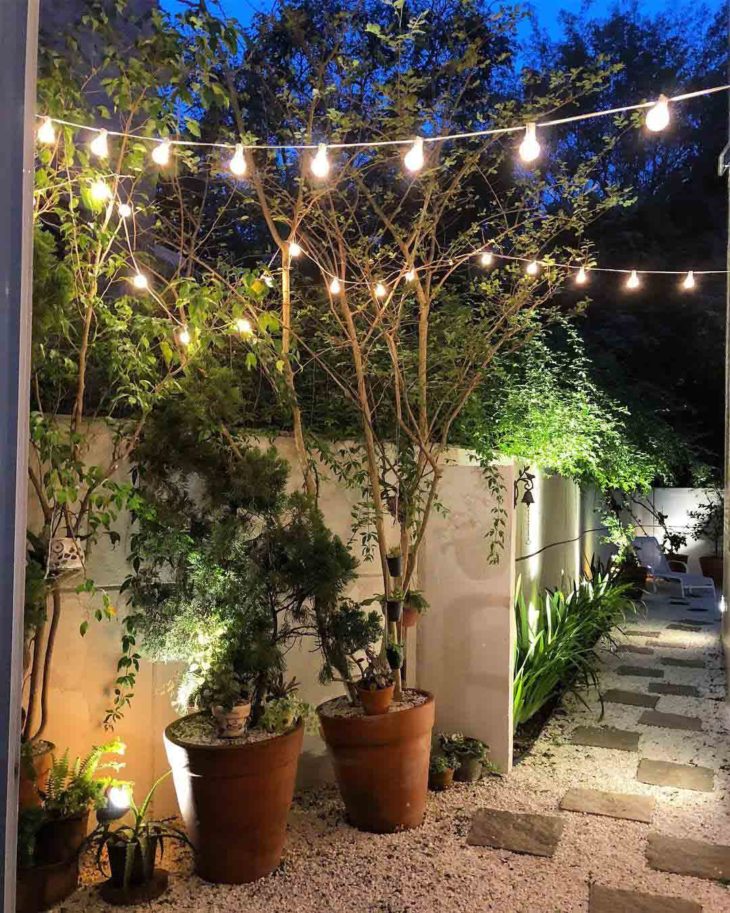 decoração do jardim com filetes de lampadas