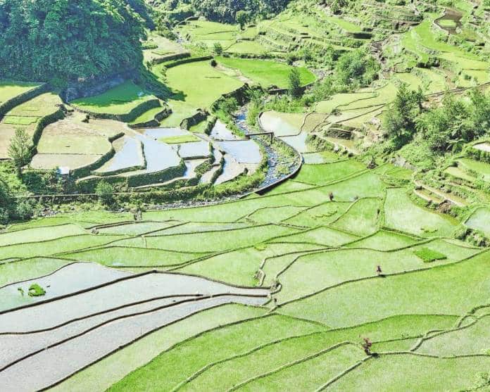 Mega construção Arrozais de banaue