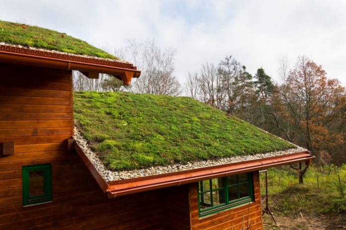 vegetação no telhado para impermeabilização e isolamento termico