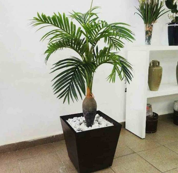 palmeira artificial ao lado de um armário