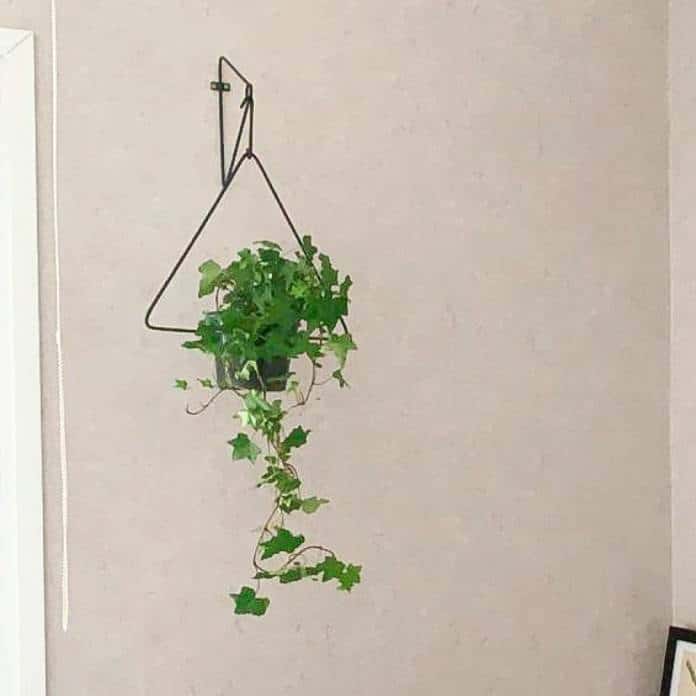 suporte vaso suspenso triangular preto1 99c429596914b5c22215651860400659 1024 1024 e1611020709647