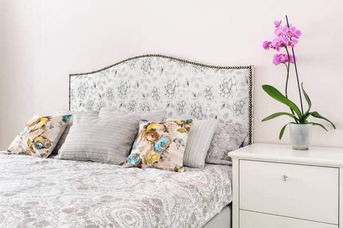 Especies de orquidea na decoracao de quarto 1 1 e1614905522263