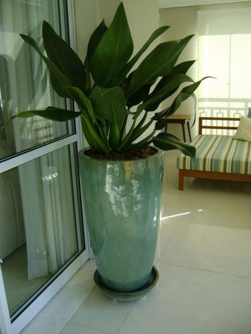 5.Vaso de planta para sala