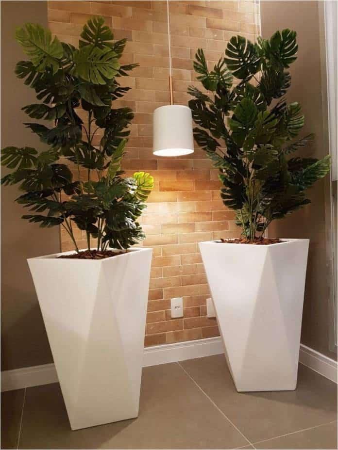 Plantas para sala de apartamento