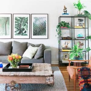 Decoração de Sala com Plantas: 8 Ideias de Decoração e Espécies de Plantas