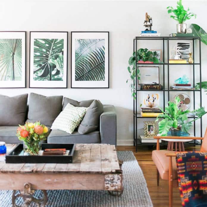 Decoração de Sala com Plantas: 8 Ideias de Decoração e Espécies de Plantas