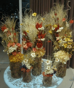 plantas seecas