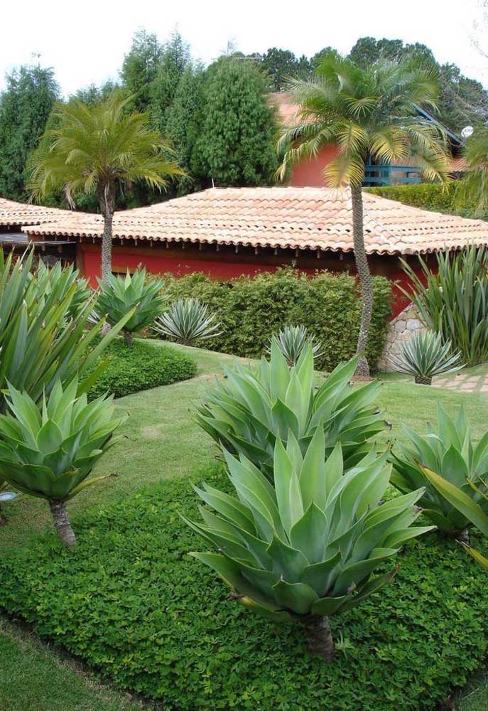 Como fazer um orçamento para o jardim