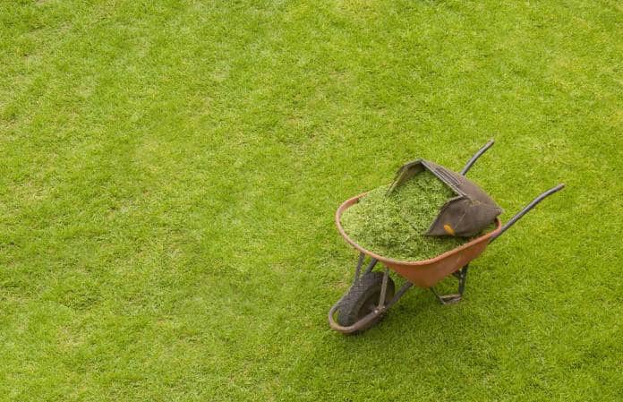 Se você tem um jardim com grama