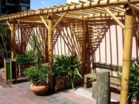 Bambu usar para pergolado