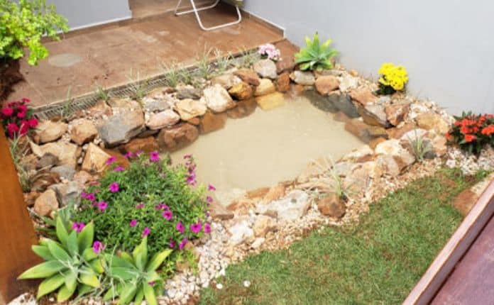 Lago Ornamental: Projetos e Dicas de Plantas e Peixes Ideais 13 A melhor planta para seu lago ornamental é aquela que vai atender ao que você quer