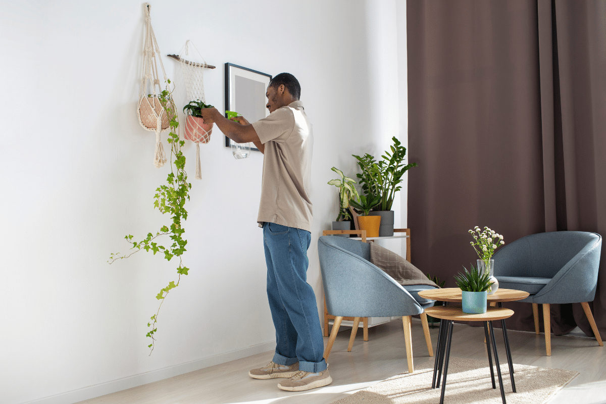 Homem cuidando de plantas do ambiente, enquanto evitar erros na decoração.