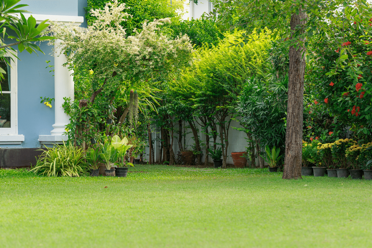 Casa com jardim após pessoa descobrir como plantar grama esmeralda.