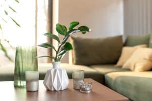 mesa da sala de estar com vasos decorativos e plantas. 