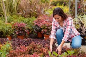 Mulher cuidando de plantas para o Paisagismo residencial.