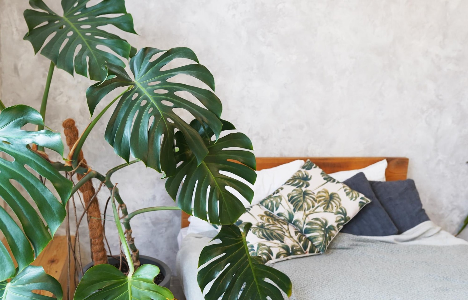 iluminação natural e estampas no estilo tropical