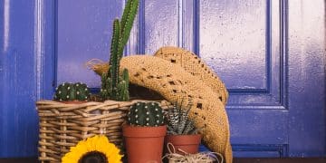 Decorar casa para o verão com plantas