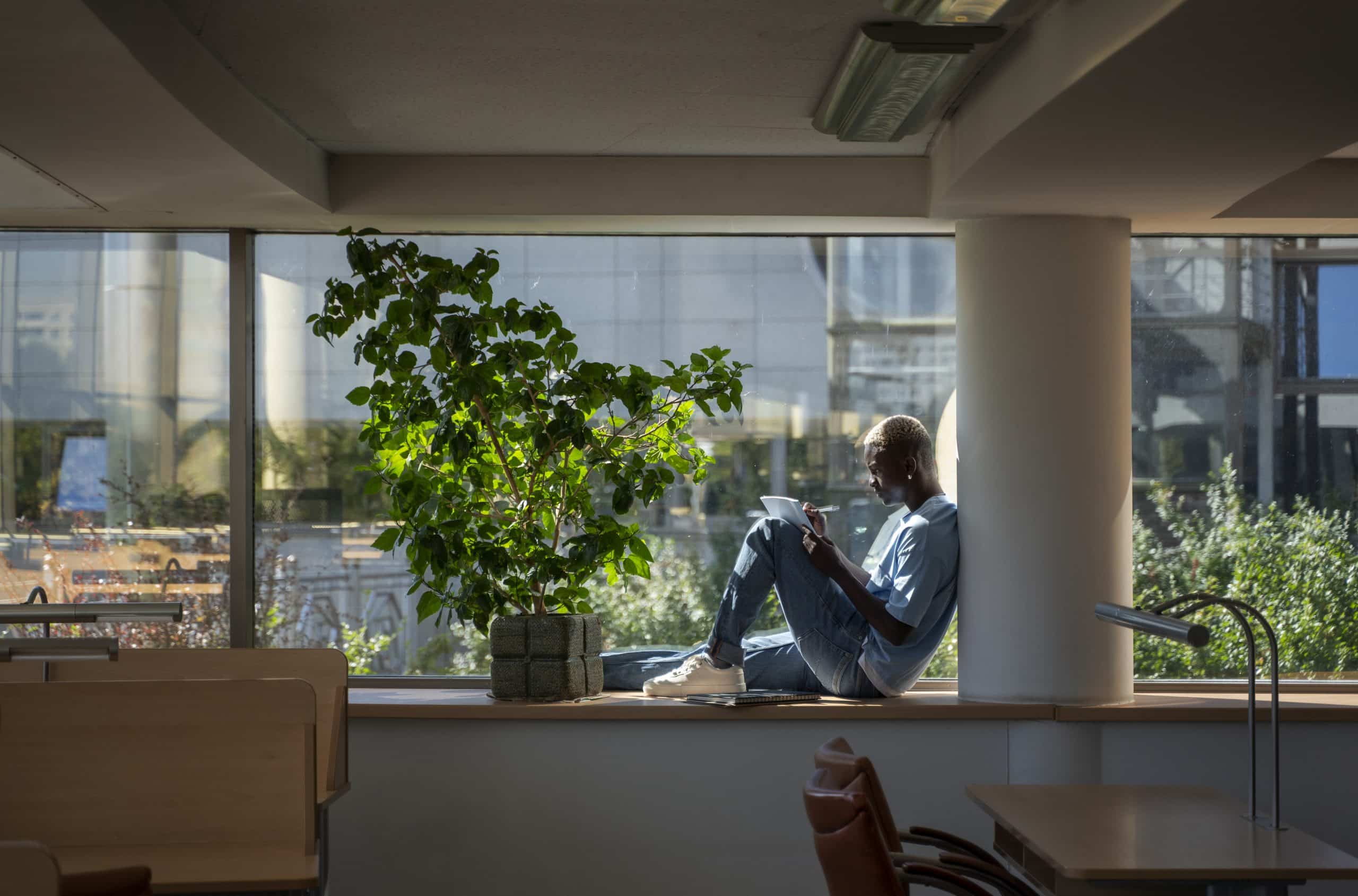 Design biofílico em ambientes urbanos