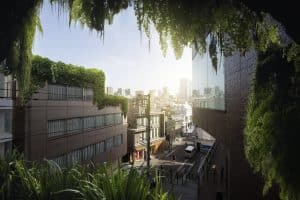 Design biofílico em ambientes urbanos
