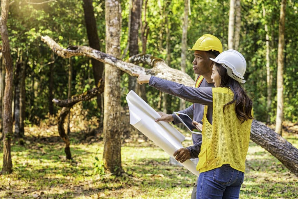 Principais tipos de materiais ecológicos
