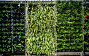 Jardins verticais sustentáveis