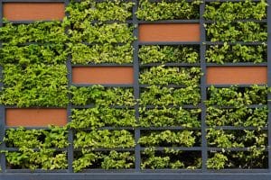 Jardins verticais sustentáveis