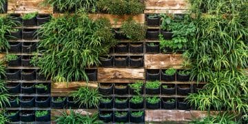 Jardins verticais sustentáveis