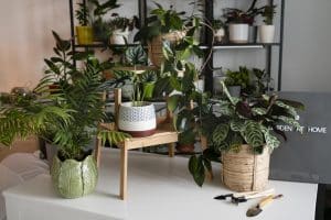 decoração biofílica em apartamento