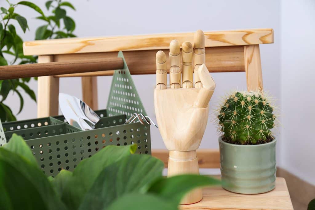 Decoração sustentável com móveis usados: transforme sua casa 1 Ambiente residencial com plantas e elementos decorativos associados a uma decoração mais consciente.